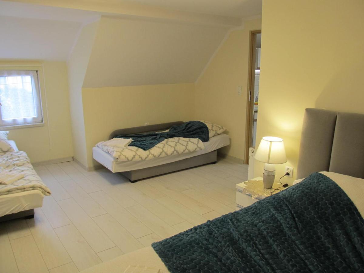 Apartamenty Anagora Kotlina Klodzka II 新鲁达 外观 照片