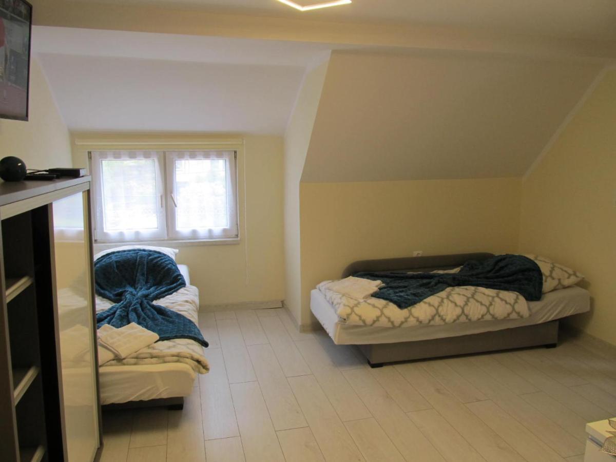 Apartamenty Anagora Kotlina Klodzka II 新鲁达 外观 照片