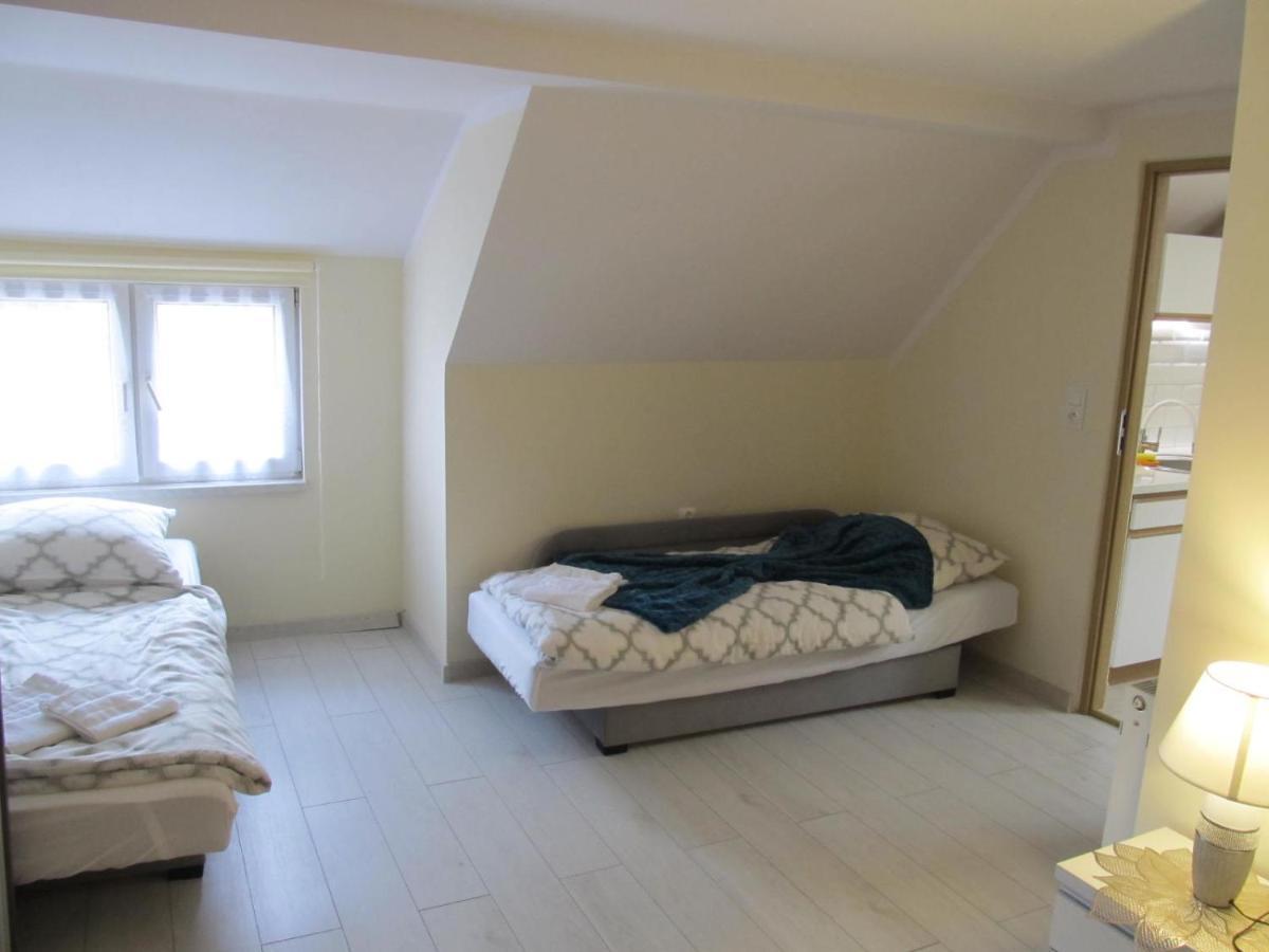 Apartamenty Anagora Kotlina Klodzka II 新鲁达 外观 照片